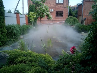 Як правильно організувати туман у саду та підтримати клімат